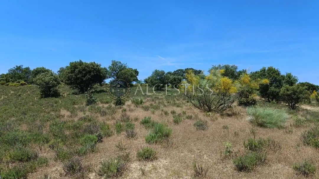 Terreno en venta en La Torre de Esteban Hambrán