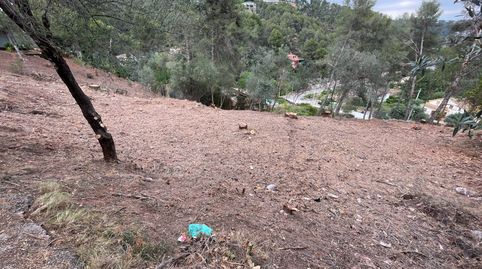 Gran Terreno en venta en Cervelló, imatge 5