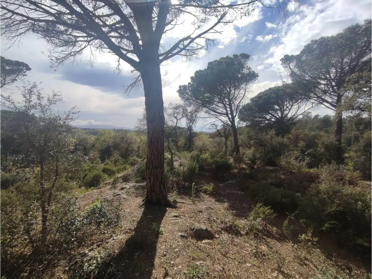 Terreny residencial en venda a Calle Pla de l´Estany, imagen 14