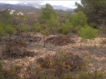 Terreny rústic en venda a Partida Palomera Cabo La Losa POL 2