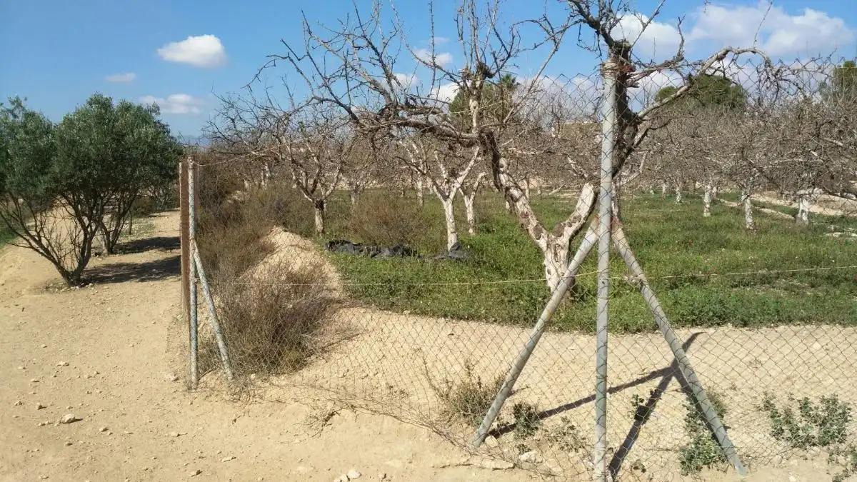 Country homes for sale in Fuente Álamo de Murcia