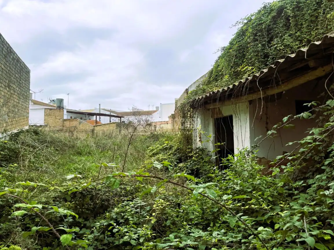Casa en venda a Pilas, imagen 7