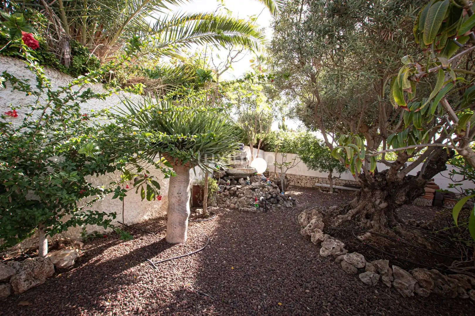 Villa con piscina in vendita a Moravit - Cap Blanc, imagen 11