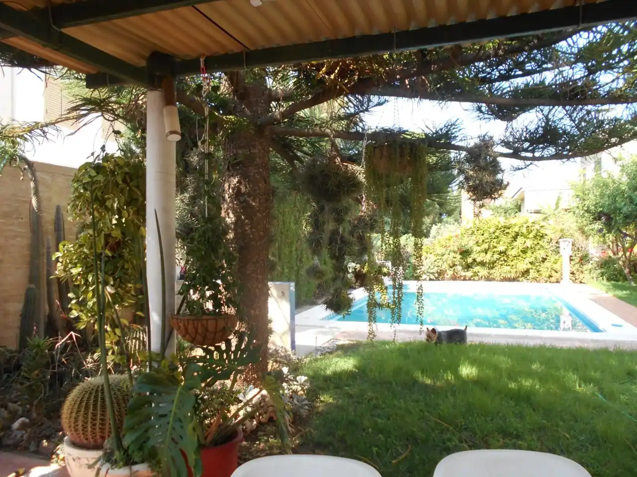 Garden of Houses for sale in Burriana / Borriana  with Air Conditioner, Private garden and Terrace