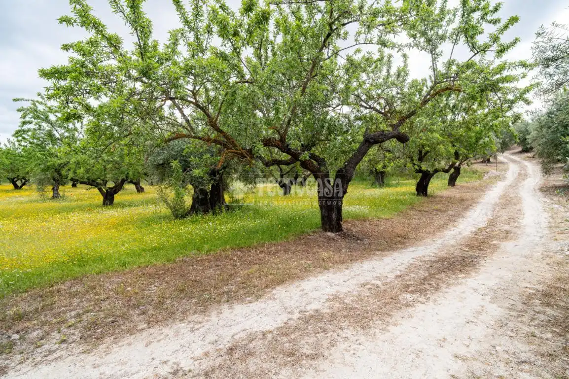 Terreni e lotti in vendita a Albaicín, imagen 22