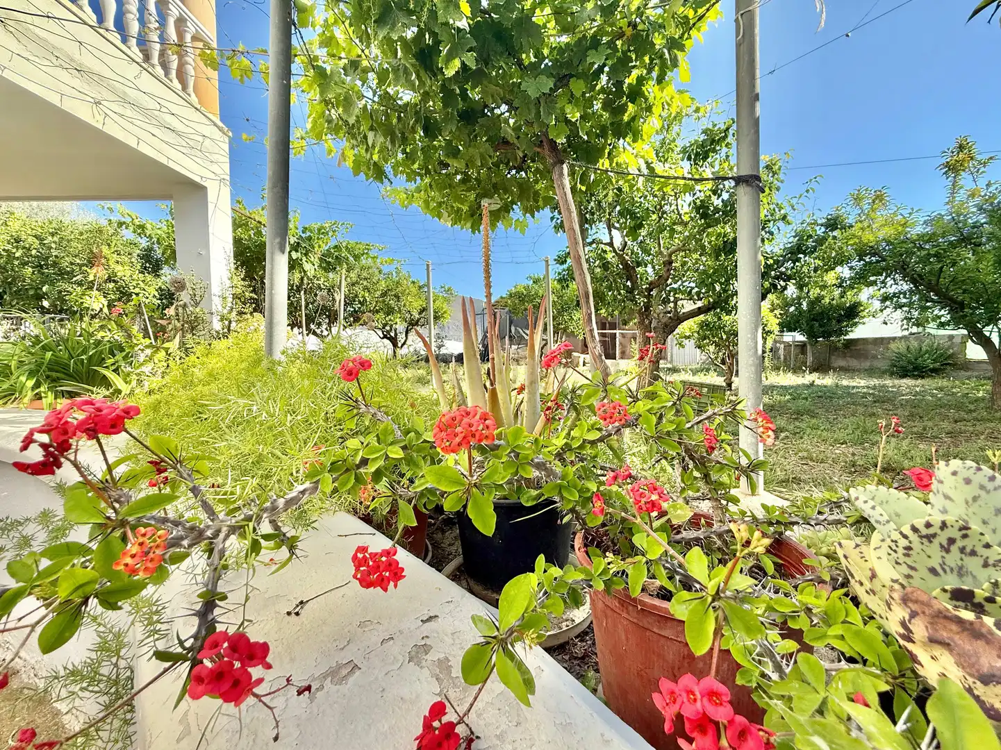 Casa amb jardí en venda a Berja, imagen 35