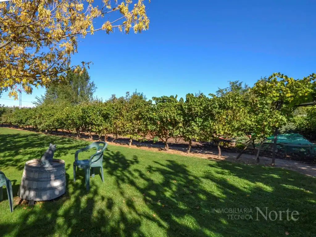 Jardín de Casa o chalet en venta en Fuente El Saz de Jarama, Madrid