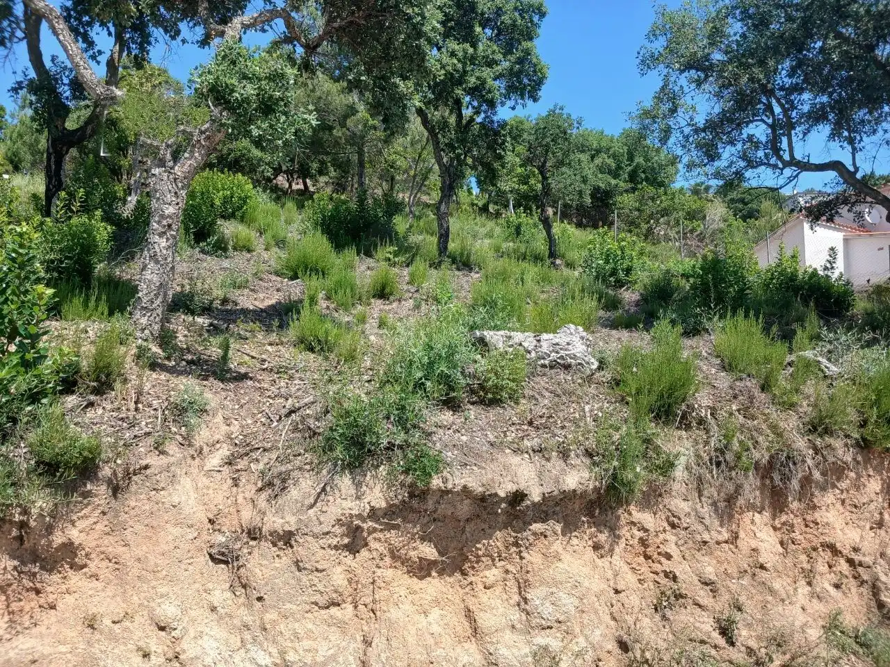 Wohnbaugrundstück zum Verkauf in Lloret Verd - Els Pinars, imagen 2