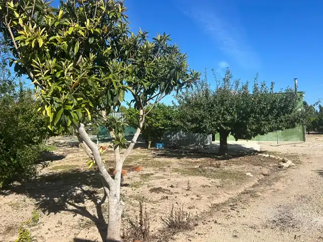 Terrain rustique à vendre à Avenida de Riola, imagen 21