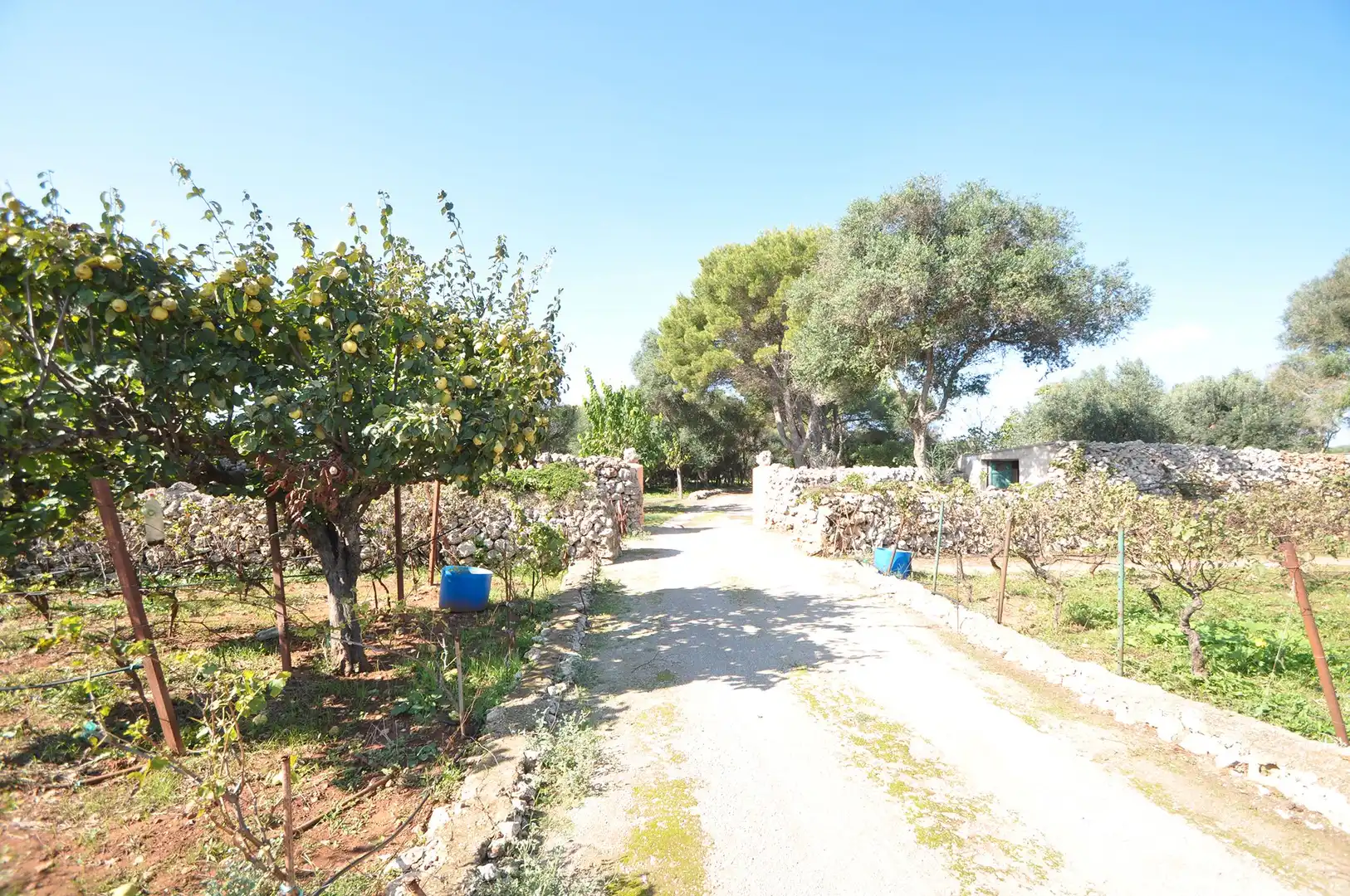Xalet amb piscina en venda a Sant Lluís - S'Ullestrar - Torret, imagen 5