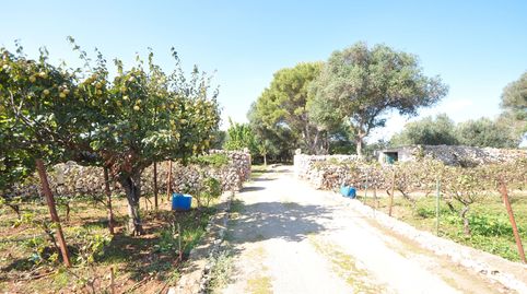 Casa de campo con gran terreno en Biniparell - Sant Lluis, imatge 5