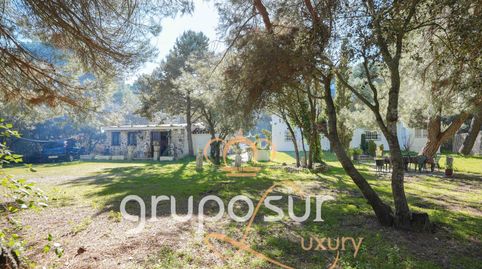 Photo 5 of Houses for sale in Carretera Villanueva, 8, Puente Duero, Valladolid Capital