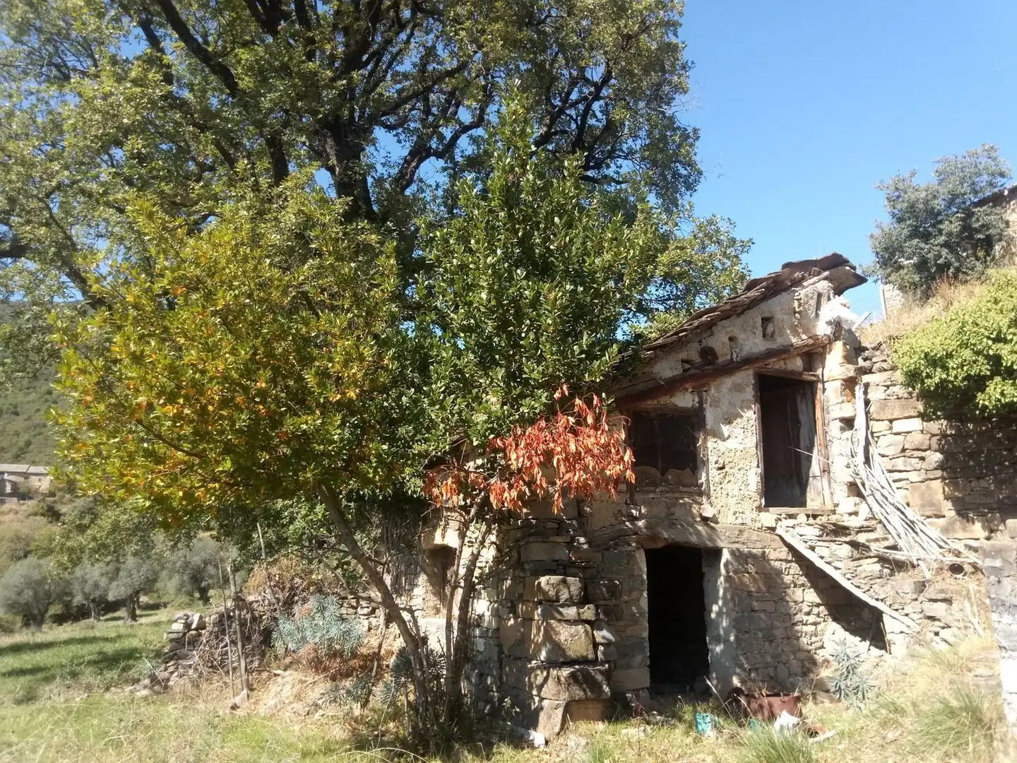 Vista exterior de Casa o chalet en venta en El Pueyo de Araguás con Jardín privado