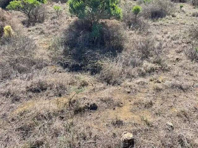 Land for sale in Telde