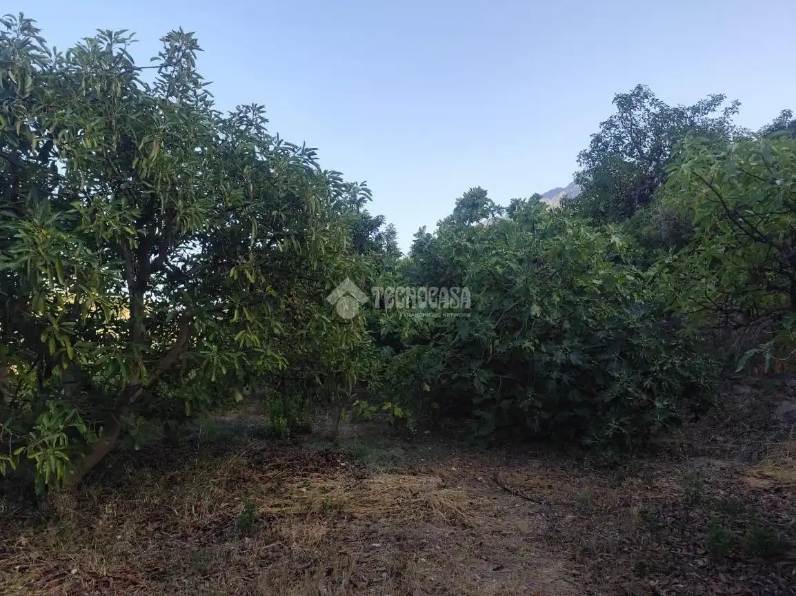 Terreno rustico in vendita a Los Guájares, imagen 12