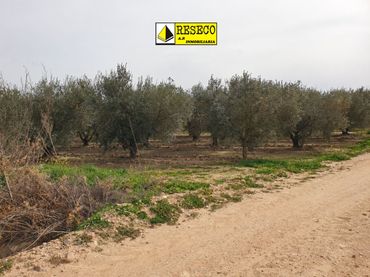 Terreno rustico in vendita a Villanueva de la Serena