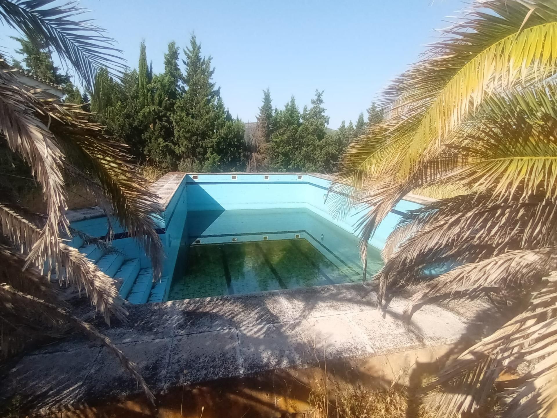 Piscina de Finca rústica en venda en Luciana amb Jardí privat, Terrassa i Piscina comunitària