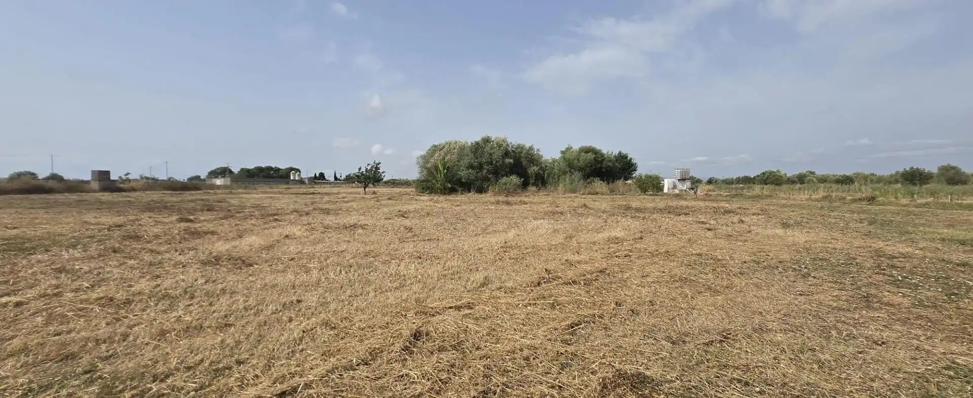 Finca rústica en venda en Vinaròs