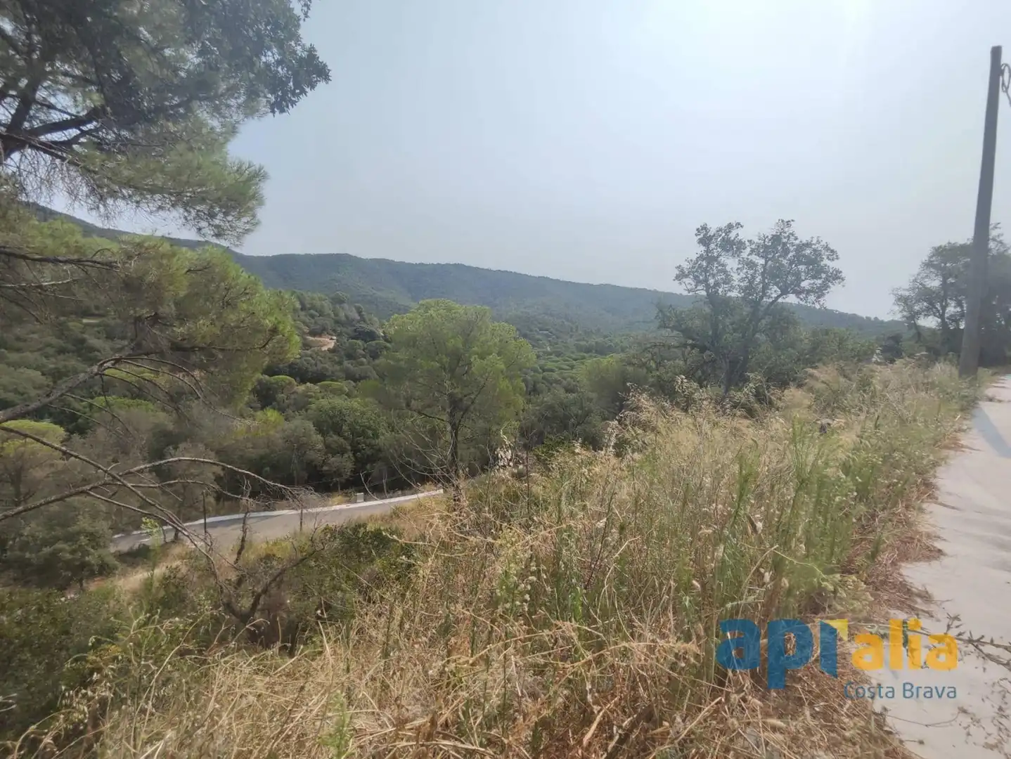 Rural land for sale in Carrer de Càceres