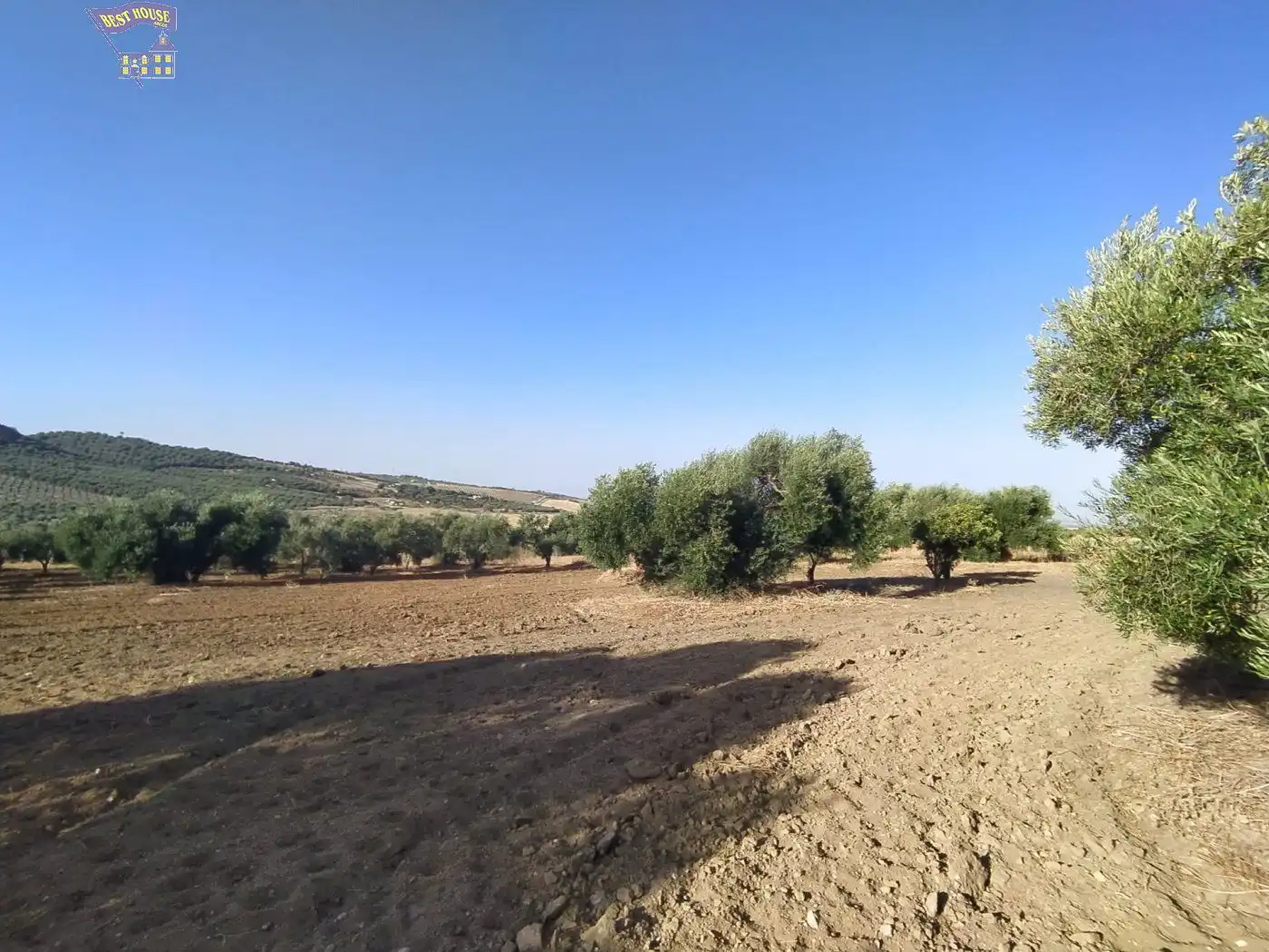 Casa rústica en venda a Arcos de la Frontera, imagen 3