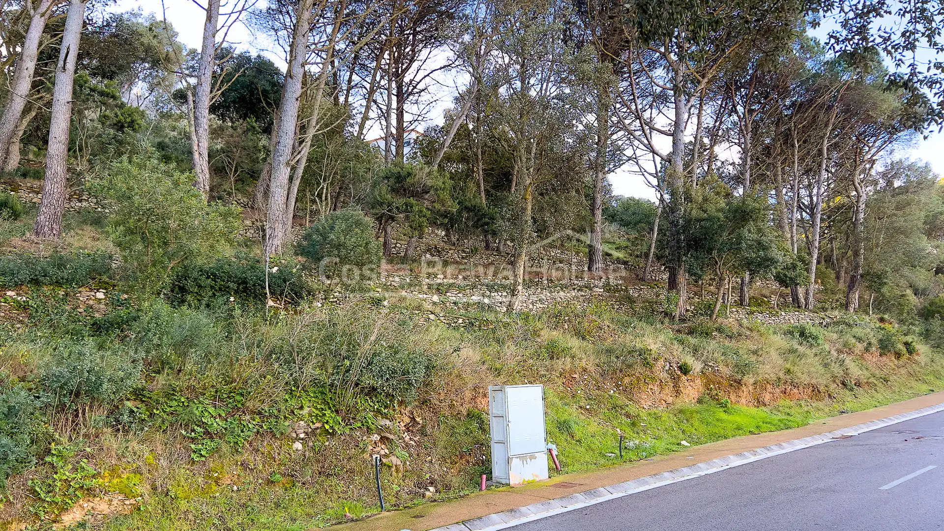 Terrenos y solares en venta en Carrer de Son Rich, imagen 10