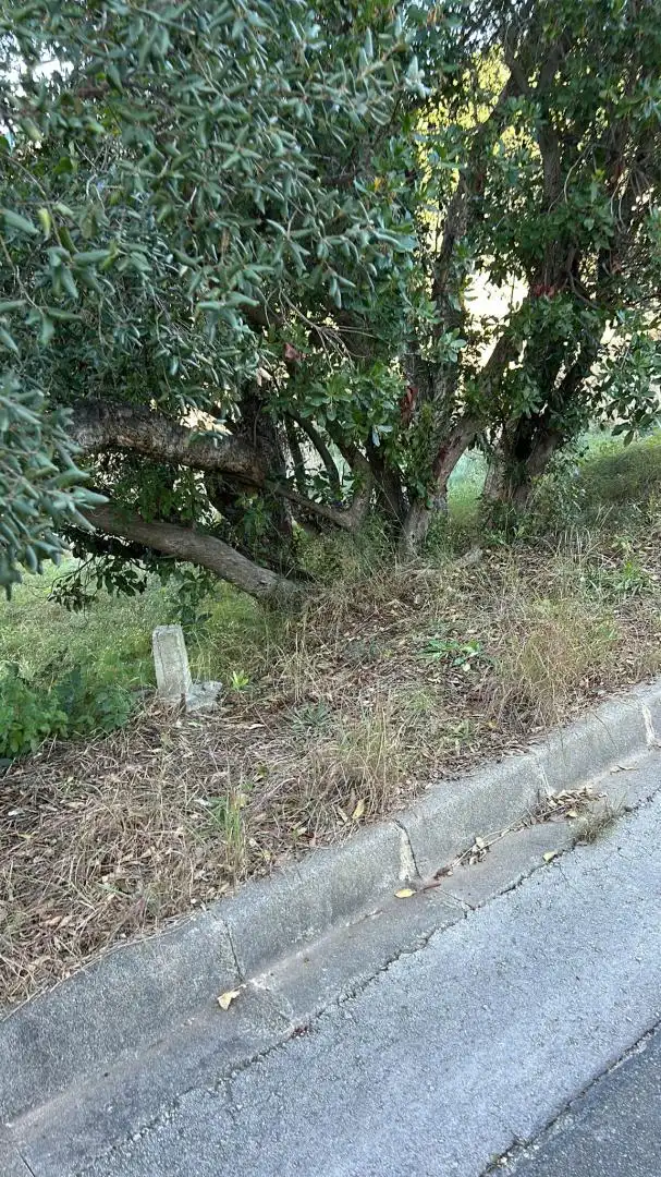 Terreno residencial en venta en la Clariana, imagen 11