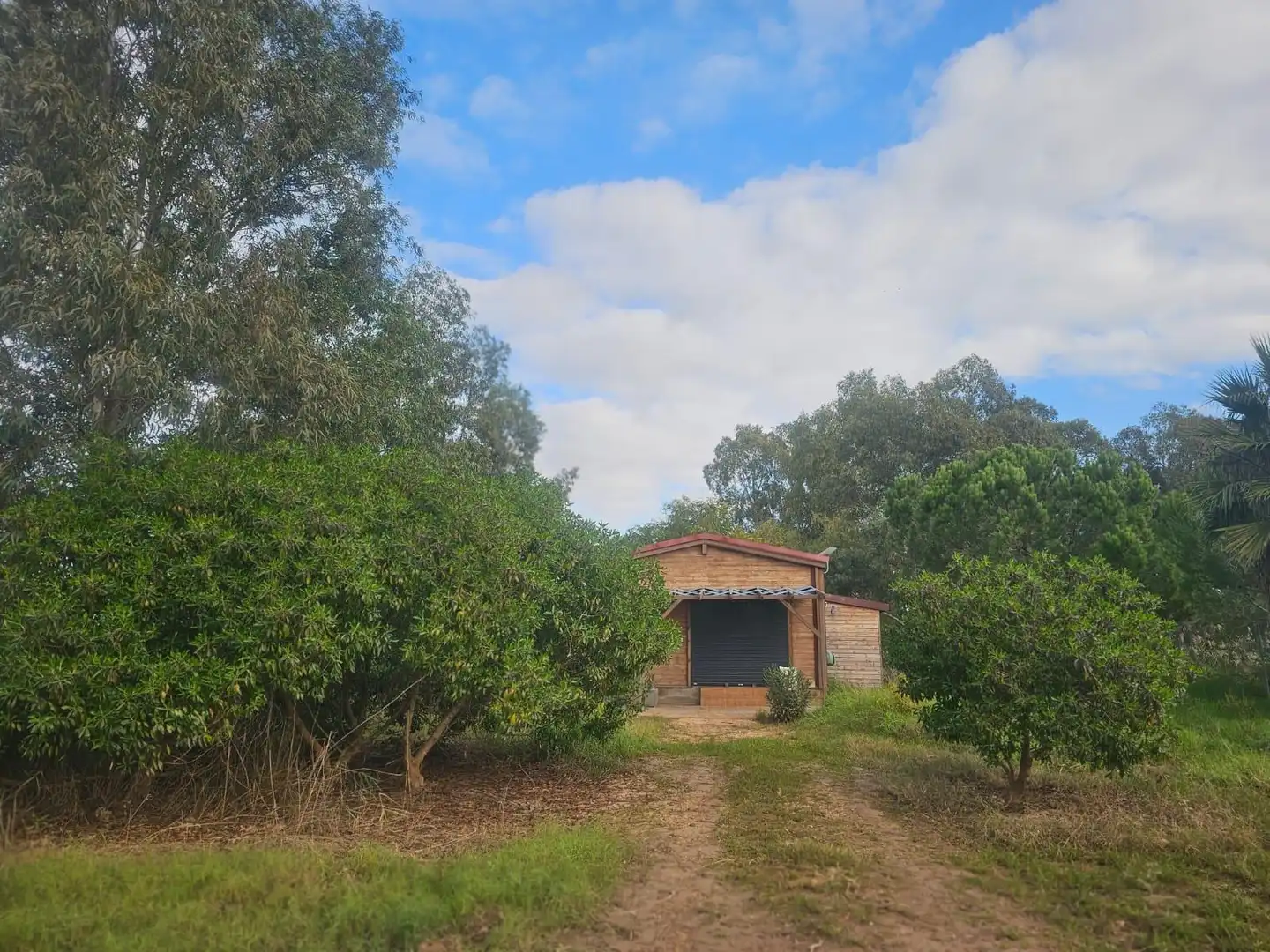 Finca rústica en venda en Amposta amb Jardí privat, Terrassa i Moblat
