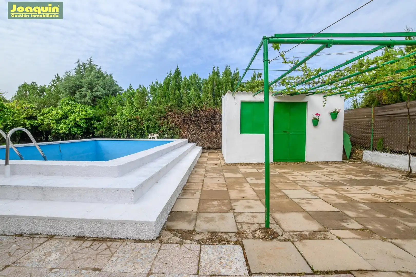 Swimming pool of Country homes for sale in  Córdoba Capital