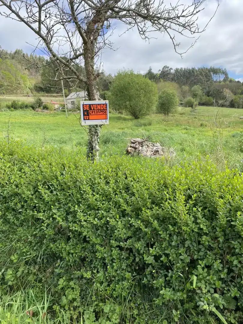 Finca rústica en venda en A Laracha  