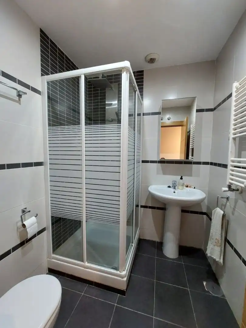 Bany de Apartament de lloguer en El Molar (Madrid) amb Terrassa, Traster i Moblat