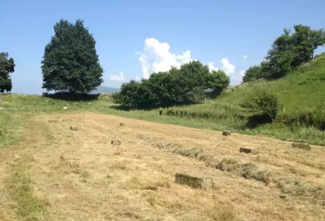 Terreno rustico in vendita a Corvera de Toranzo, imagen 12