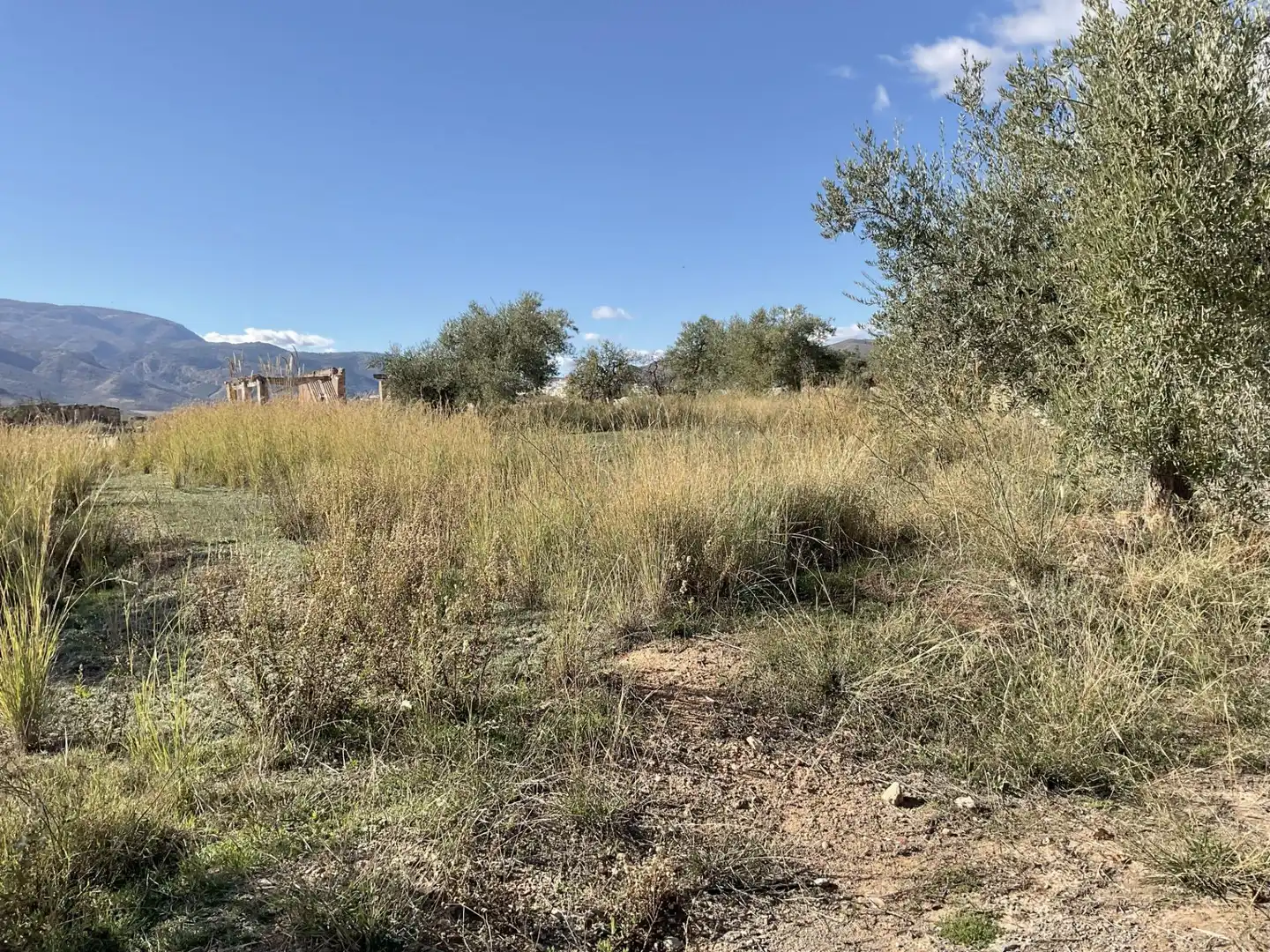 Land for sale in Padules
