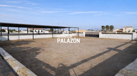 Finca rustica en venta, en Catral Alicante, immagine 4