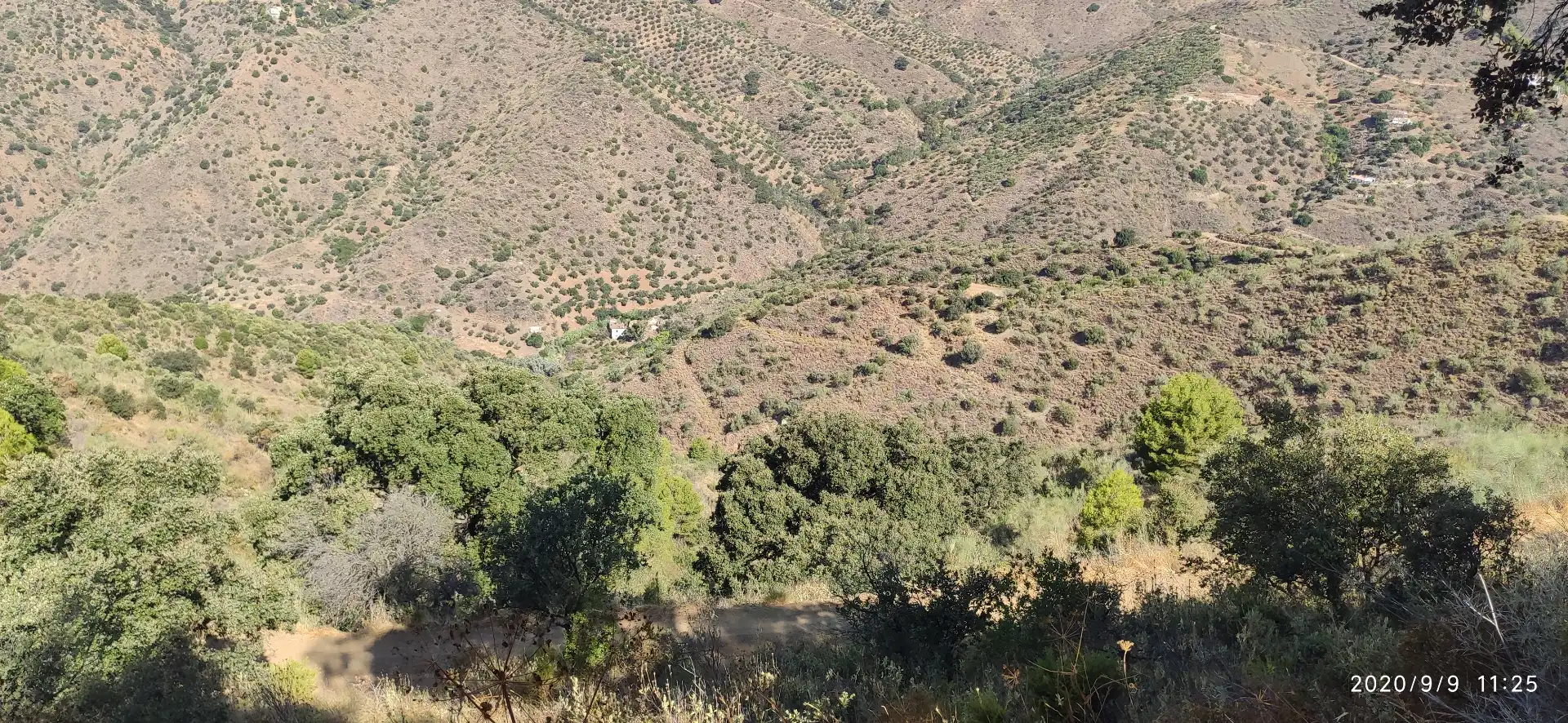 Terreno rustico in vendita a Monda, imagen 5