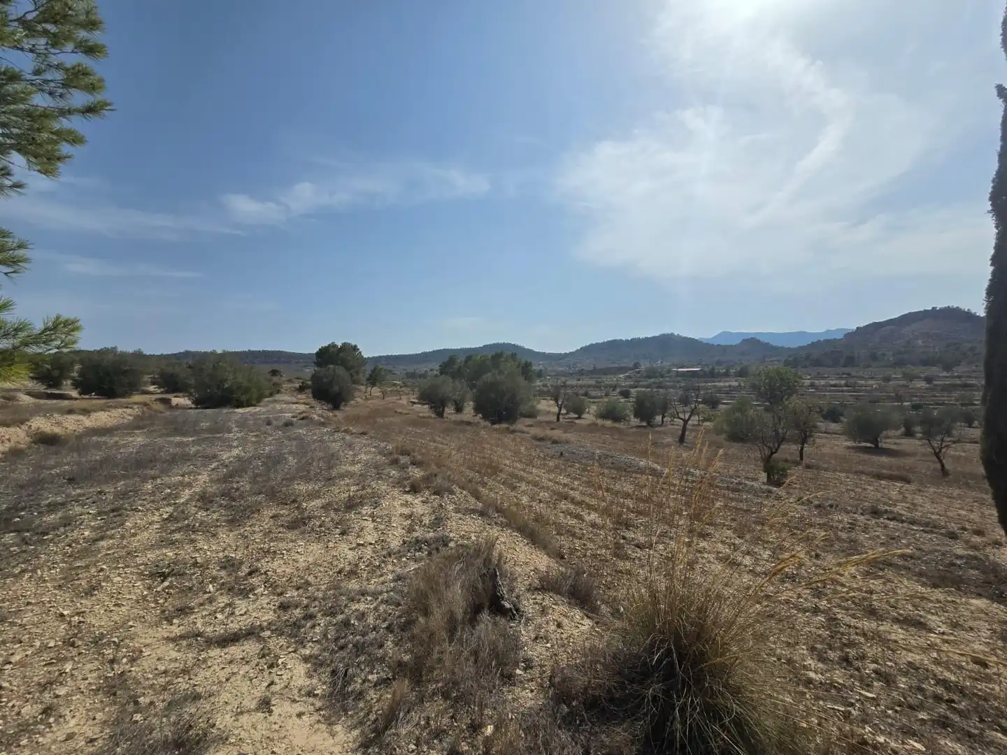 Terreny rústic en venda a Relleu, imagen 4
