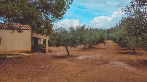 Foto 4 de Finca rústica en venda a Godall, Tarragona