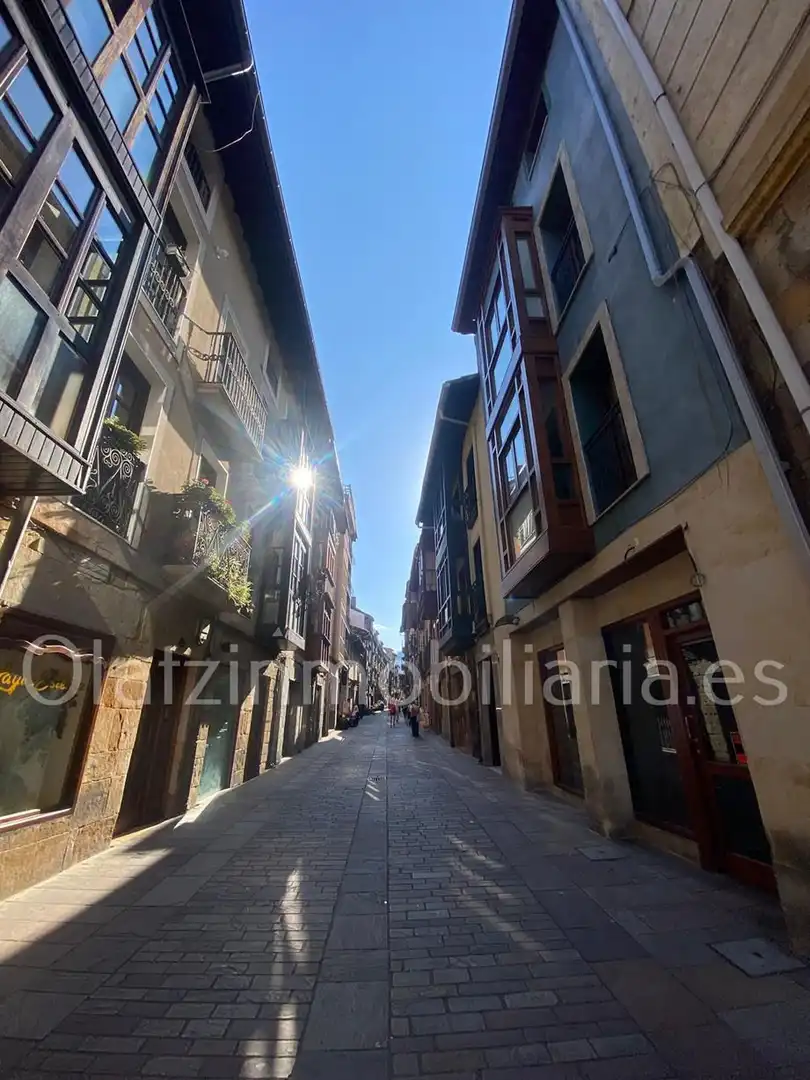 Exterior view of Houses for sale in Balmaseda