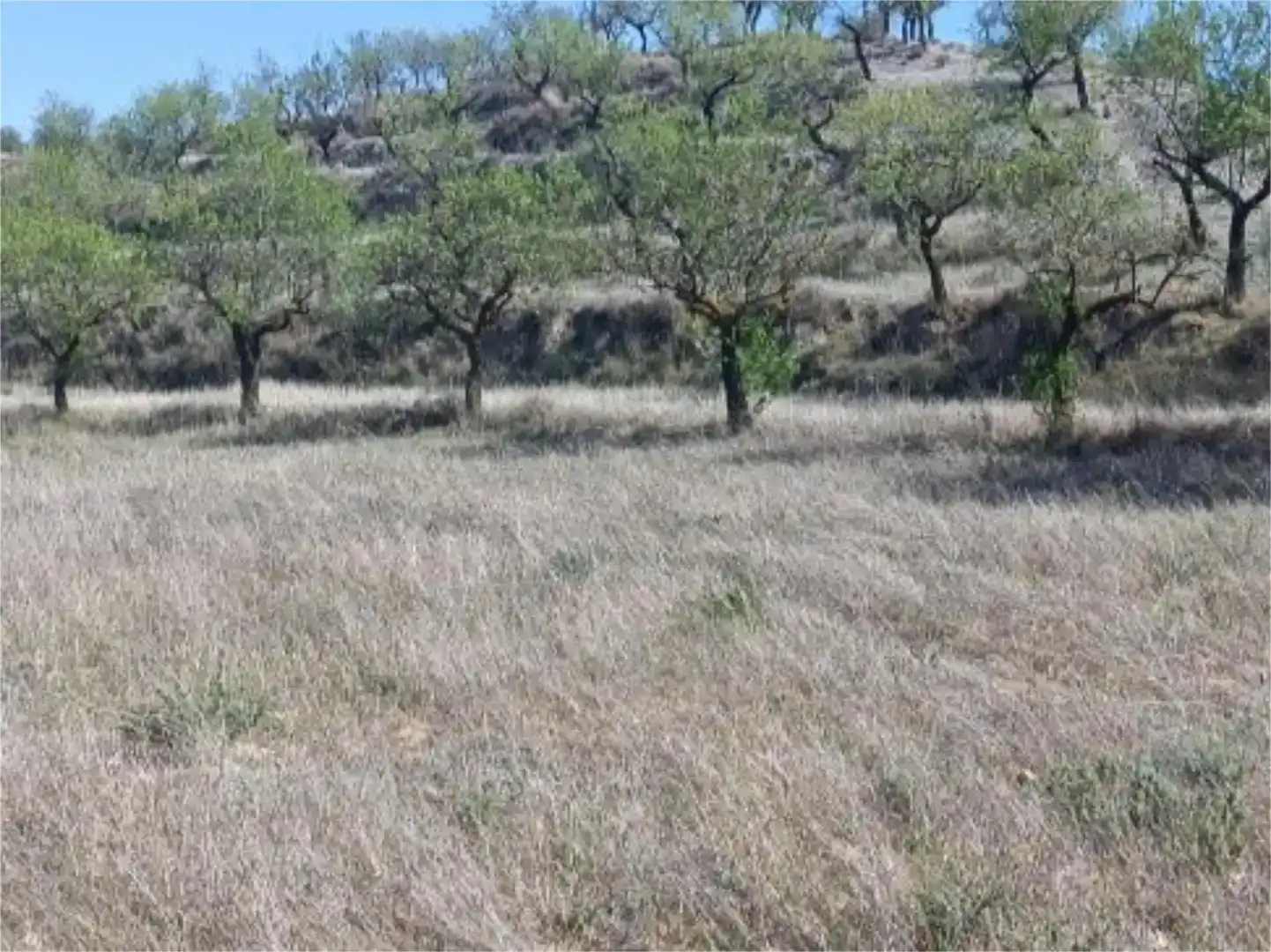 Terreno en venta en Chirivel, Almería