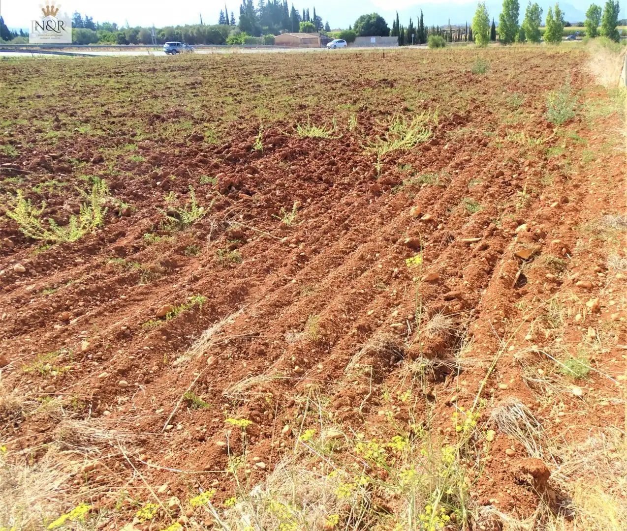 Rustikales Grundstück zum Verkauf in Llubí, imagen 4