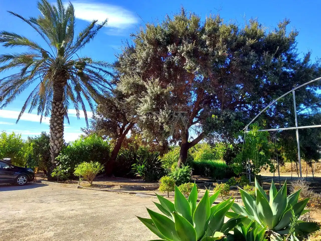 Terreni e lotti in vendita a San Enrique - Guadiaro -  Pueblo Nuevo, imagen 11
