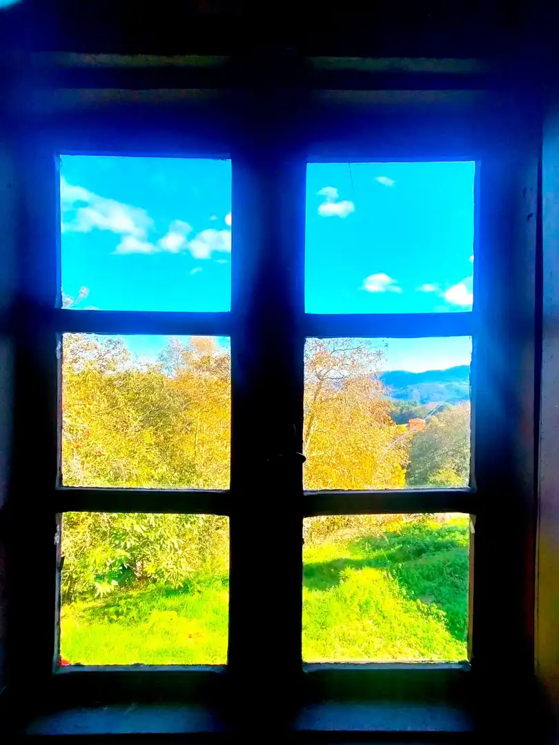 Vista exterior de Finca rústica en venda en Salas amb Calefacció, Jardí privat i Traster