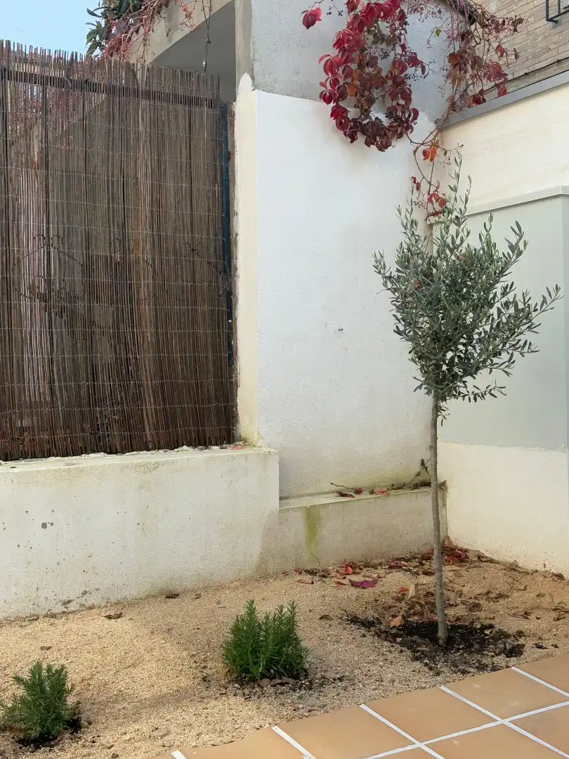 House with garden to rent in Fuencarral - El Pardo, imagen 15