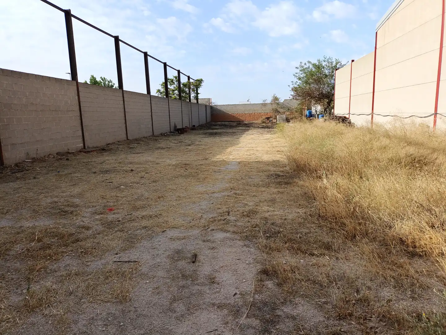 Lands and plots for sale in Calle Pizarro, imagen 9