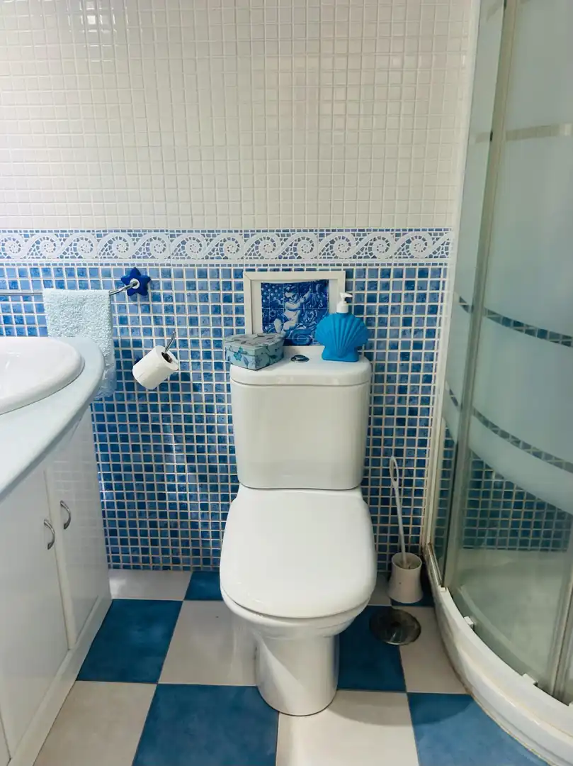 Bany de Casa o xalet en venda en San Pedro del Pinatar amb Balcó