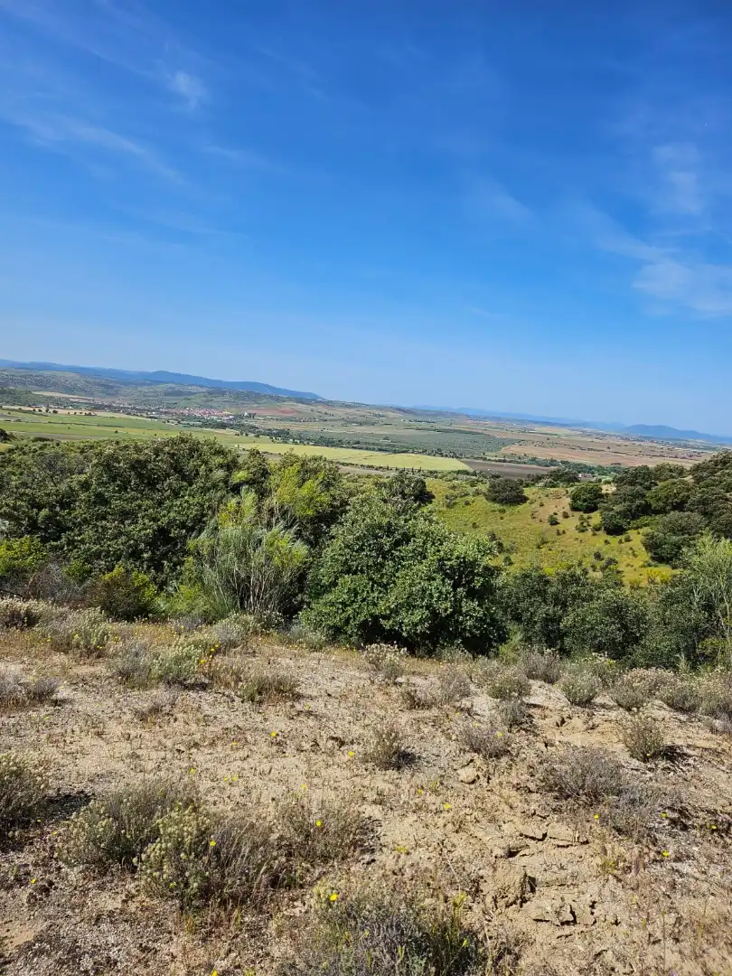 Terreno rustico in vendita a Las Herencias, imagen 5