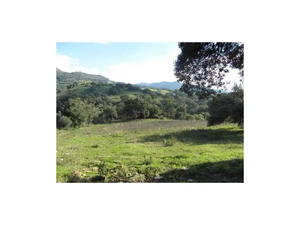 House for sale in Gaucín, imagen 6