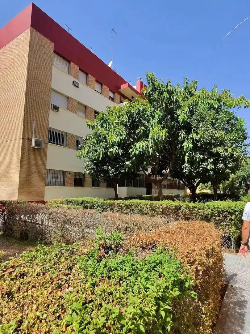 Vista exterior de Piso para compartir en Sur