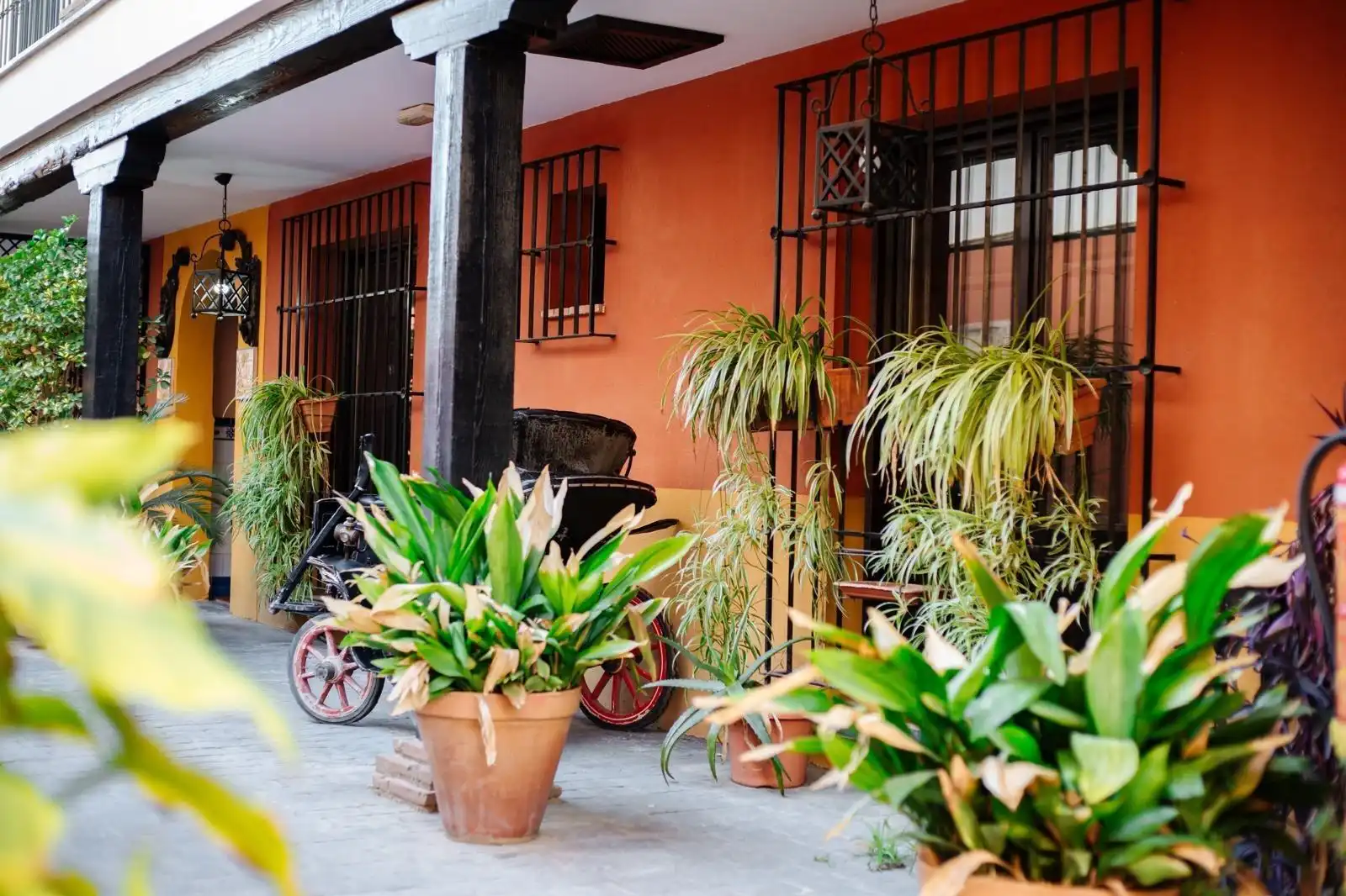Exterior view of Ground floor for sale in La Zubia  with Community pool