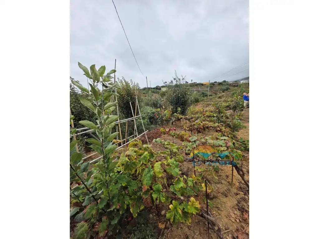 Houses for sale in La Orotava