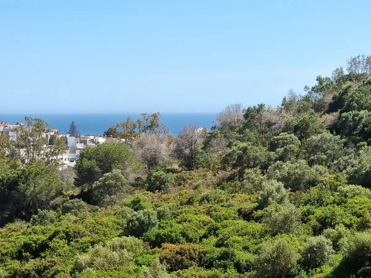 Penthouse mit Pool zum Verkauf in Elviria - Cabopino, imagen 16